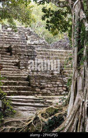 Detail shot of The Mayan pyramid of Chacchoben in Costa Maya on the Yucatan Peninsula of Mexico. Stock Photo