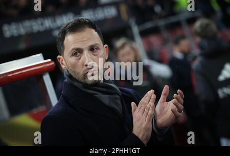 Koln, Germany. 28th Mar, 2023. Belgium's head coach Domenico Tedesco pictured at the start of a friendly game between the German national soccer team and Belgian national soccer team Red Devils, in Koln, Germany, Tuesday 28 March 2023. BELGA PHOTO VIRGINIE LEFOUR Credit: Belga News Agency/Alamy Live News Stock Photo