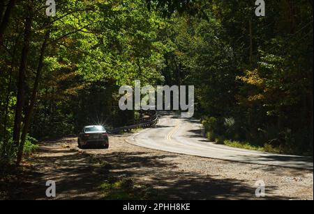 A lone car sits beside a curvy road winding through a sunlit woods in early autumn. Stock Photo
