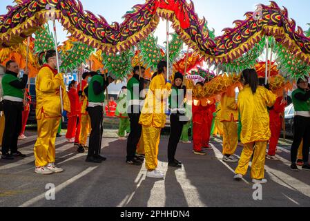Celebrations for the Chinese New Year in Prato of one of the largest Chinese communities in Italy with parade and shows for the Year of the Rabbit Stock Photo