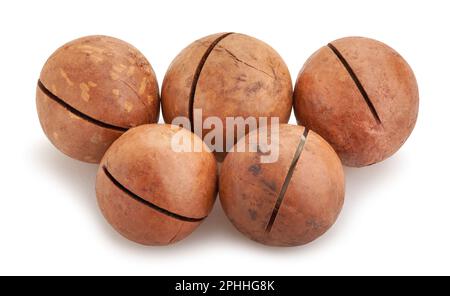 macadamia nut path isolated on white Stock Photo