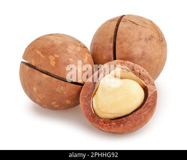 macadamia nut path isolated on white Stock Photo