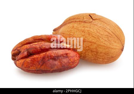 pecan nuts path isolated on white Stock Photo