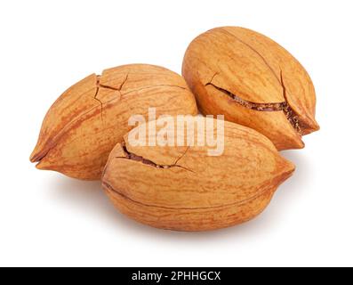 pecan nuts path isolated on white Stock Photo