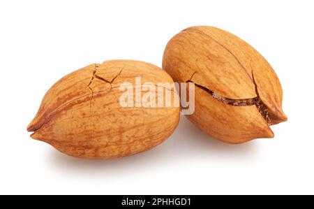 pecan nuts path isolated on white Stock Photo