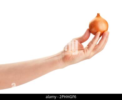 onion in hand path isolated on white Stock Photo