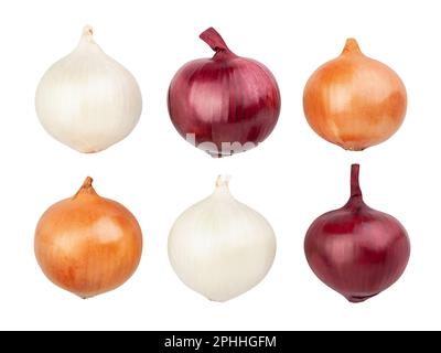 colorful onions path isolated on white Stock Photo