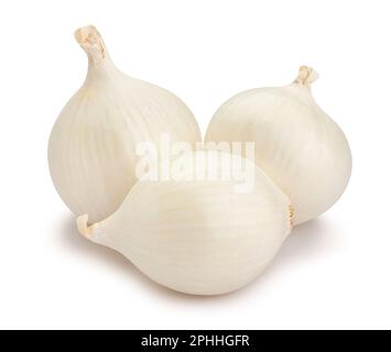 white onions path isolated on white Stock Photo