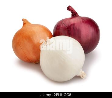 colorful onions path isolated on white Stock Photo