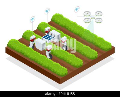 Isometric automatic controlled robots harvest berries. Smart robotic in agriculture, automation robot farmers must be programmed to work. Stock Vector
