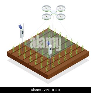 Use of a drone to control crop growth, hydration of mail and pests. Agriculture automation smart farming concept. Isometric vector illustration Stock Vector