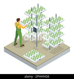 Isometric modern smart industrial greenhouse. Artificial intelligence robots in agricultural. Organic food, agriculture and hydroponic conccept. Stock Vector