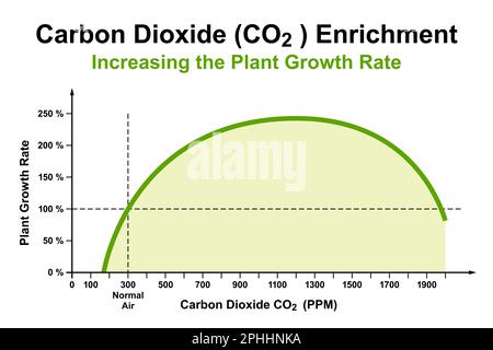 Carbon dioxide (CO2) enrichment to about 1100 parts per million in greenhouse cultivation, to enhance plant growth, known for nearly 100 years. Stock Photo