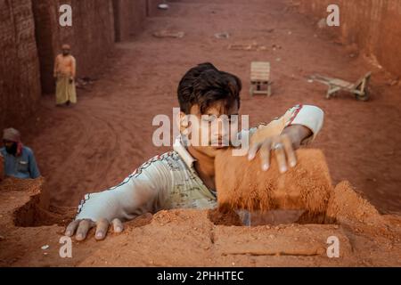 Worker unloading bricks at a brick kiln. In recent years, the number of ...