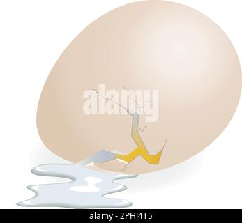 A Broken Egg; hyper-realistic editable vector illustration saved as Illustrator 6.0 for optimum compatibility. All blends are editable. Stock Vector