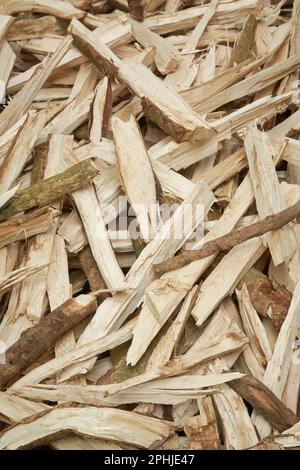 pile of chopped firewood, preparation for winter, fireplace or stove, cut tree logs at lumber mill for alternative fuel in full frame natural wood Stock Photo