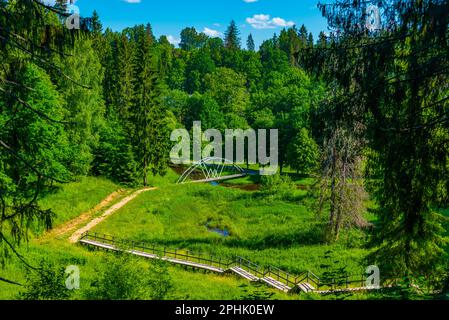 Hiking path at Ligatne village in Latvia. Stock Photo