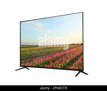 LCD monitor and tulips the isolated Stock Photo - Alamy