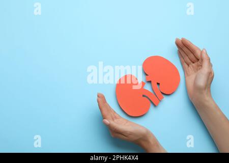 Woman protecting paper cutout of kidneys on light blue background, top view. Space for text Stock Photo