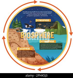 Biosphere Ecology Infographic for Learning illustration Stock Vector