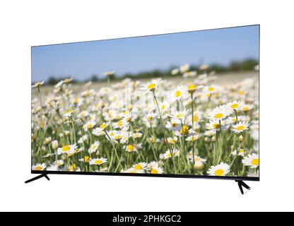 TV isolated on white with flowers on the screen Stock Photo - Alamy