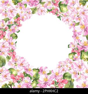 Round frame of a blossoming apple tree on a white background. watercolor illustration Stock Photo