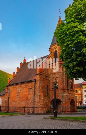 Church of St. Gertrude in Kaunas, Lithuania. Stock Photo