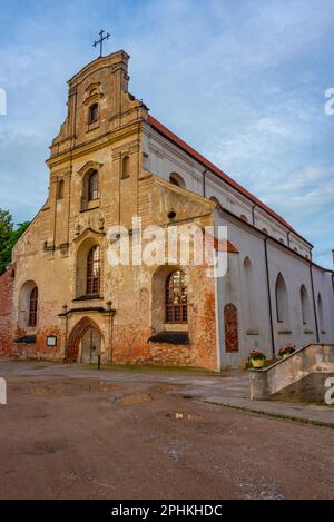 Church of the Assumption of the Blessed Virgin Mary in Vilnius, Lithuania. Stock Photo