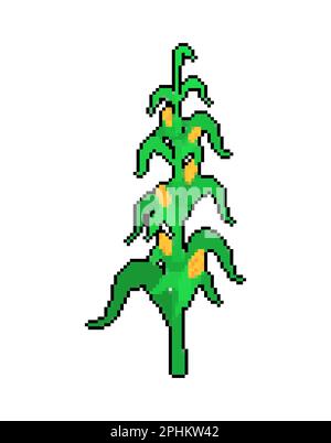 Corn bush pixel art. 8 bit Vector illustration Stock Vector