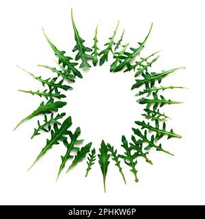 frame from arugula on white background, flat lay. Space for text Stock Photo
