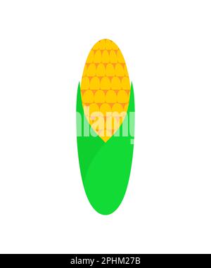 Ear of corn isolated. Vector illustration Stock Vector