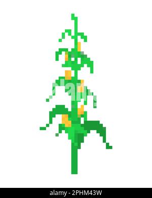 Corn bush pixel art. 8 bit Vector illustration Stock Vector