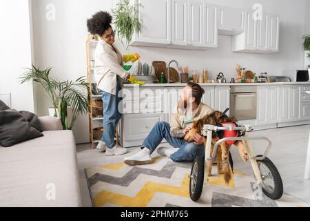 https://l450v.alamy.com/450v/2phm765/cheerful-african-american-woman-cleaning-kitchen-near-boyfriend-and-disabled-dog-in-wheelchair-at-homestock-image-2phm765.jpg