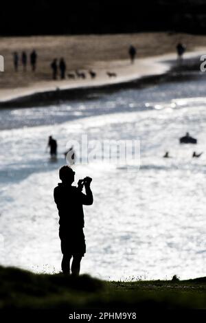 The silhouette of a man standing on The Headland using his smart phone to photograph surfing activity at Fistral in Newquay in Cornwall in England in Stock Photo