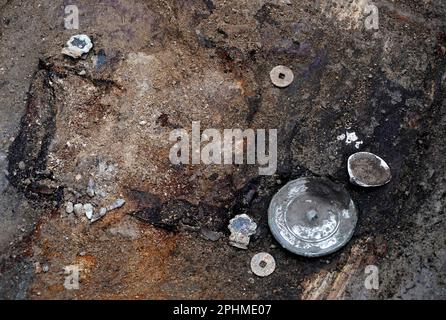 (230329) -- SHANGQIU, March 29, 2023 (Xinhua) -- This photo taken on March 25, 2023 shows bronze coins and a bronze mirror unearthed from a Tang Dynasty (618-907) tomb at the Songguogucheng site, or the ancient capital ruins of the State of Song in the Spring and Autumn Period (770-476 BC), in Shangqiu, central China's Henan Province. Archaeologists in central China's Henan Province have discovered six tombs dating back to the Tang Dynasty (618-907) between two buried ancient city walls at different depths, shedding light on ancient site studies with multiple cultural layers in the Yellow Rive Stock Photo