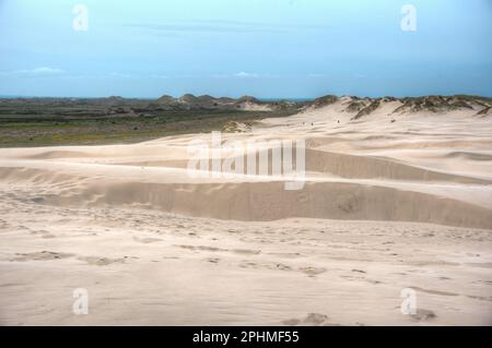 Rabjerg Mile sand dunes in Denmark Stock Photo