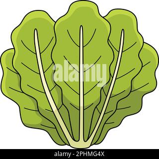 lettuce leaf clip art