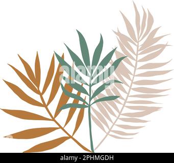 Vector design linear window with palm leaf and key template logos templates in trendy linear minimal style. Celestial and magical abstract Stock Vector