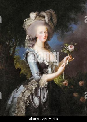 Marie-Antoinette (1755-1793), Queen of France, portrait painting by Elisabeth Vigee Le Brun, 1783 Stock Photo