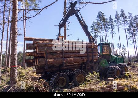 Forwarder with a load of lumber in the forest Stock Photo