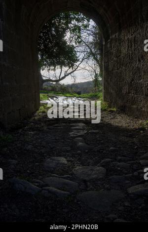 Stone tunnel with light at the end with a lot of vegetation stone floor with puddle of water during the day Stock Photo