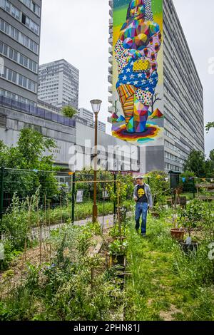France. Paris (13th arrondissement.) The garden shares towers with the garden, in the Parisian Chinatown district. In the background, on one of the di Stock Photo