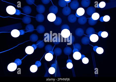 Hanging LED Light Bulbs on Blurred Background, Cold Energy Saving Lamp, Blue Light of Incandescent Lightbulbs Stock Photo