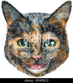 Cute cat. Cat for t-shirt graphics. Watercolor Short-haired tortoiseshell cat illustration Stock Photo