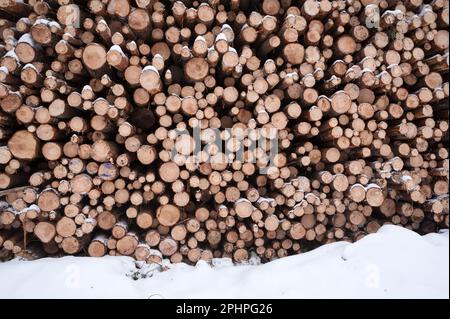 Stacked logs Stock Photo