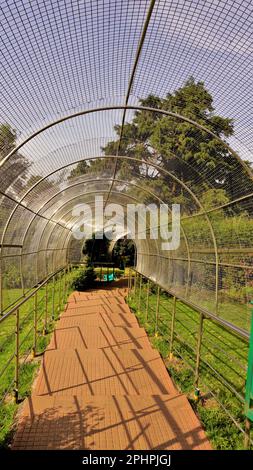 Walkway or path to the view points at the Top of Doddabetta peak from telescope house. Highest altitude in the Ooty Stock Photo