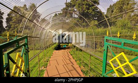 Walkway or path to the view points at the Top of Doddabetta peak from telescope house. Highest altitude in the Ooty Stock Photo