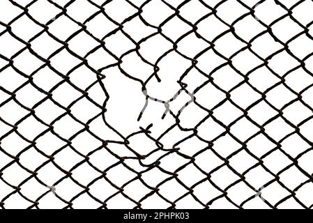 The texture of the metal mesh. Torn, destroyed, broken metal mesh on a white background Stock Photo