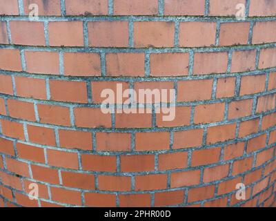 image pouvant servir de texture Stock Photo