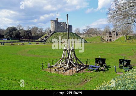 Wooden Trebuchet catapult at Cardiff Castle, with Norman keep in background.. March 2023. Spring. Stock Photo